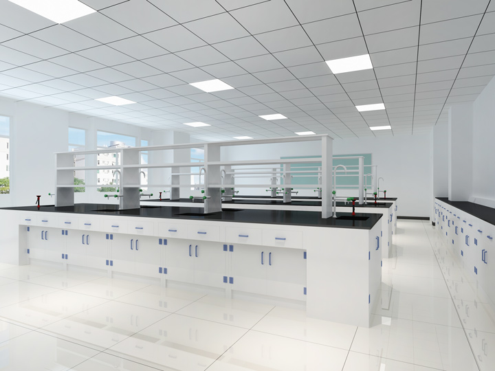 實(shí)驗(yàn)鼠裝修